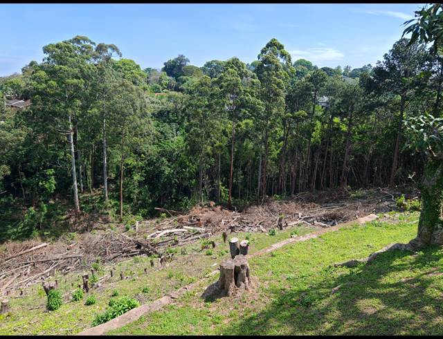 8,992M² VACANT LAND SOLD IN WESTVILLE